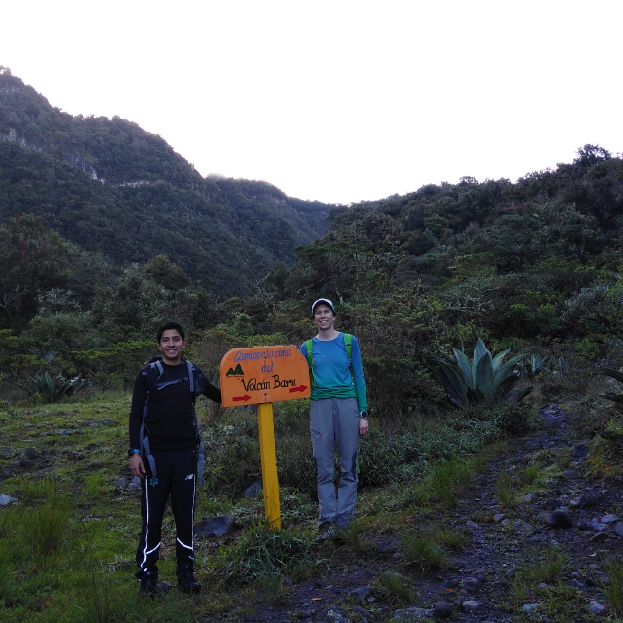 da9c96b7-8e93-4a75-a920-32aa34116405